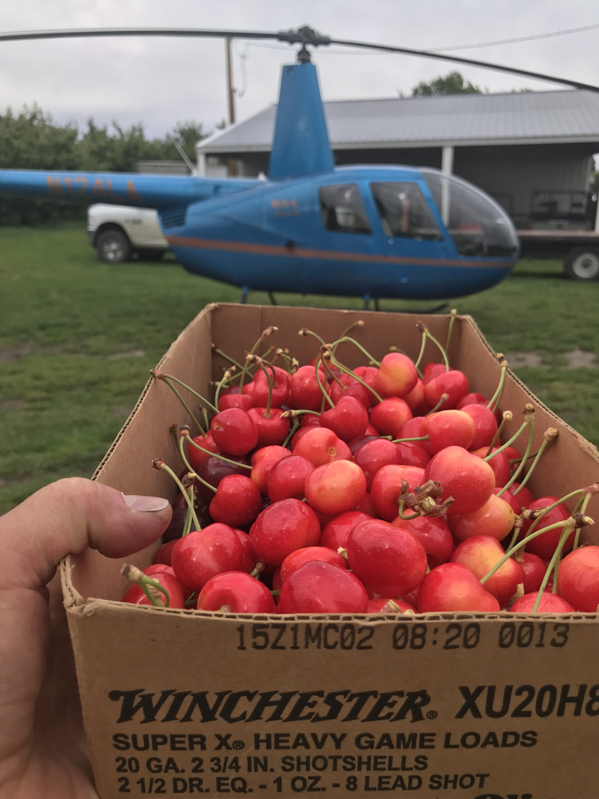 Helicopter landed after performing an orchard aerial application